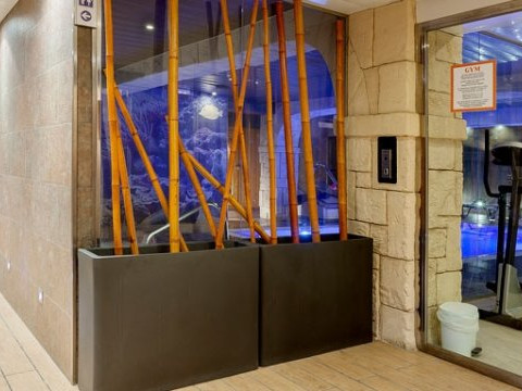PIMAR SPA (Blanes)