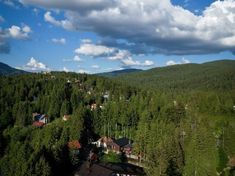 Hotel Elexus Predeal