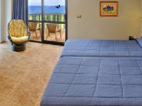 Kaktus Albir (Albir)