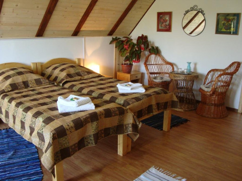 CASA DINTRE SALCII