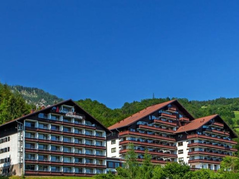 testALPENHOTEL  (Bad Goisern)