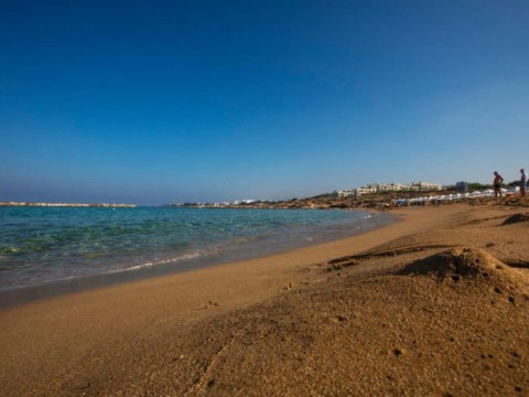 Venus Beach
