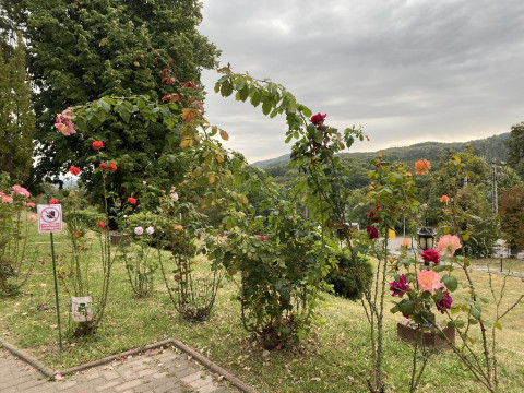 BELVEDERE
