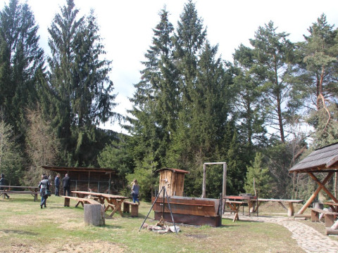 Inima Bucovinei ( Frasin)