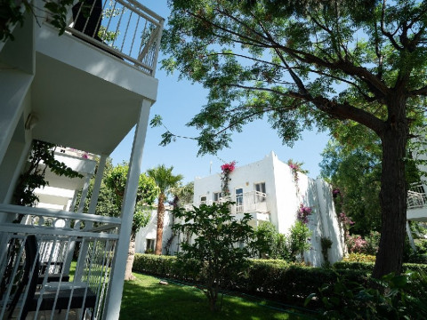 Petunia Beach Resort