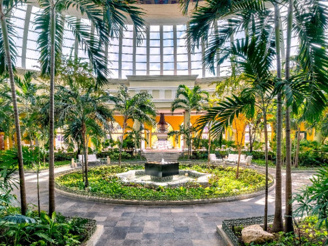 JOIA Paraiso by Iberostar