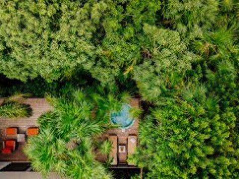 Occidental Xcaret Destination