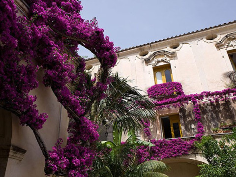 Palazzo Murat