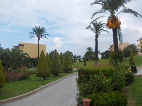 Horizon Beach Resort