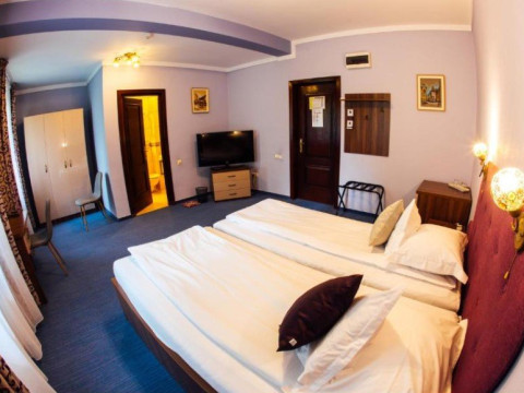 Hotel Conacul Domnesc