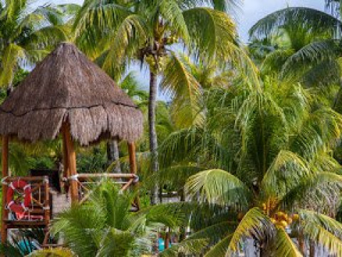 Occidental Xcaret Destination