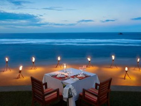 Hikka Tranz by Cinnamon