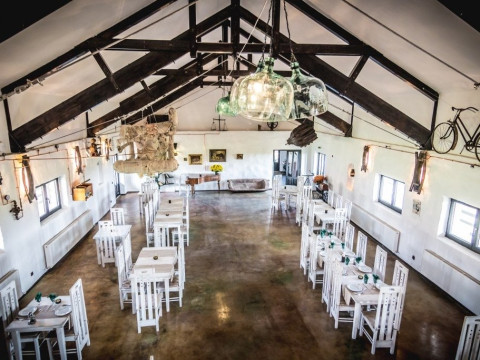 Vinalia Conacul din Ceptura