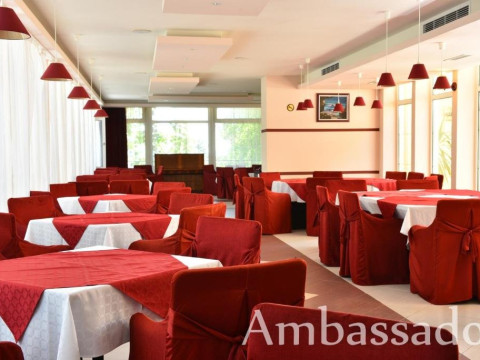 AMBASSADOR