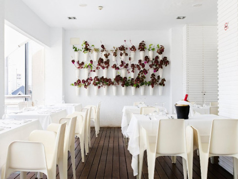 The Agir Springs Hotel (Benidorm)