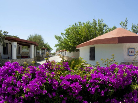 Club Rasciada - fara transfer