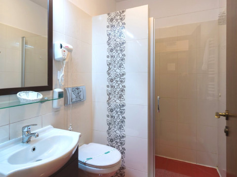 Hotel COROANA BRASOVULUI