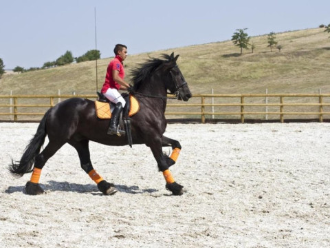 Sarea in Bucate