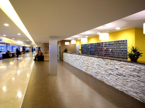 Delfin Plava Laguna (Porec)