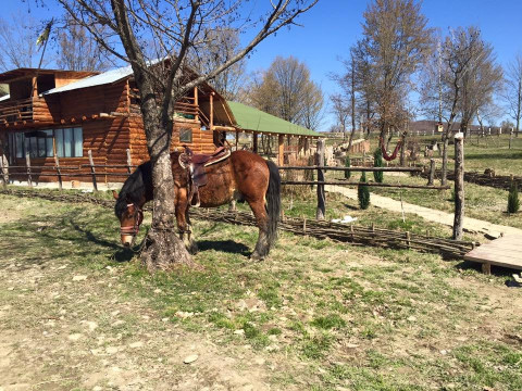 Ferma Stana Dacilor