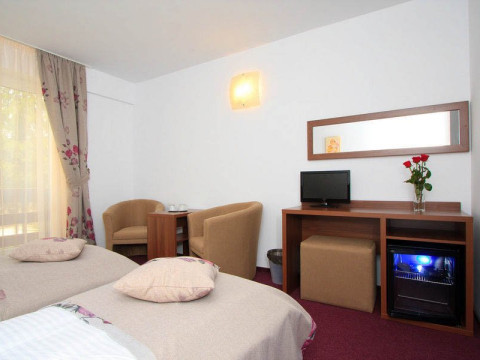 Hotel Domnitei