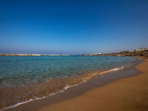 Venus Beach