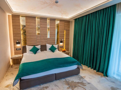 HOTEL CODRISOR..