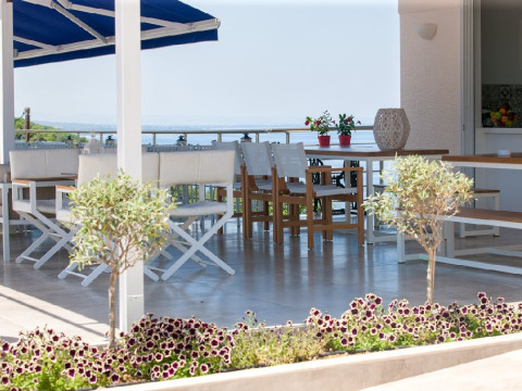 12 Olympian Gods Hotel