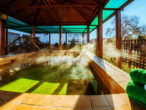 APOLLO WELLNESS CLUB