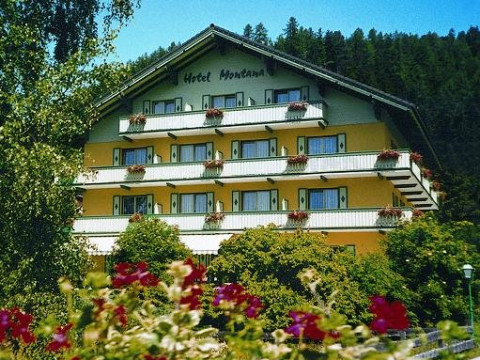 APPARTHOTEL MONTANA (Bad Mitterndorf)