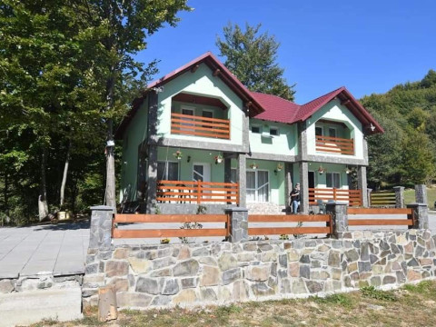 Cabana Poiana Nedi (Ciocotis)