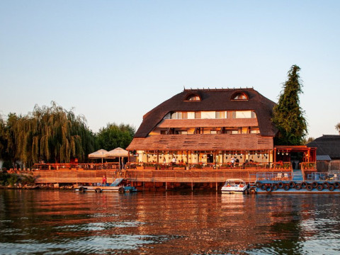 Paradise Delta House - Crisan