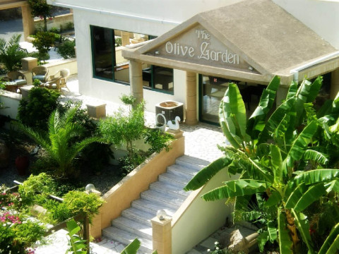 Olive Garden (recomandat 3*+)