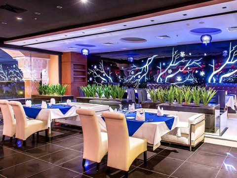 JASMINE PALACE 