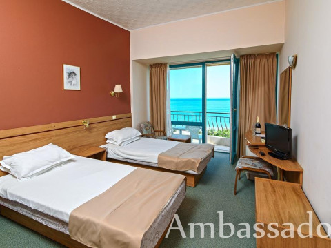 Ambassador