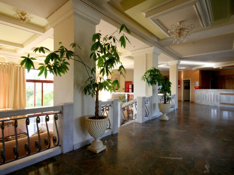 Hotel Viva Mare (Molivos)