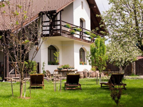 Casa Mosului (Cartisoara)