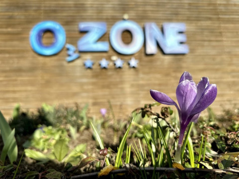 O3zone