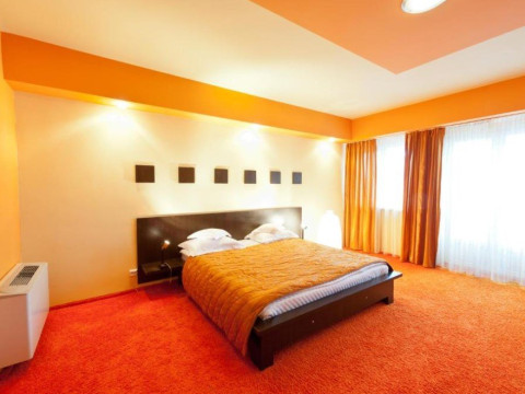 Hotel Bistrita..