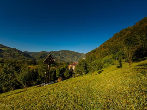 Chalet Flora (Viseul de Jos)