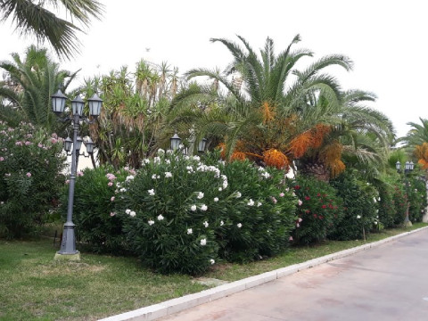 Grand Vigna Nocelli Resort Spa