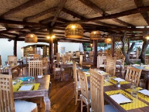 Starwood Cervo