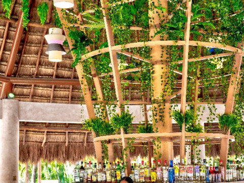 Viva Azteca by Wyndham