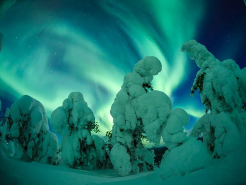 Charter Laponia - Hotel Scandic Pohjanhovi