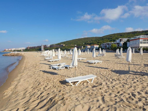 AMORE BEACH