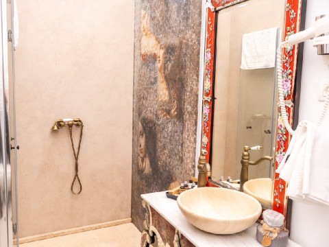 . Conacul COROANEI - Vila turistica