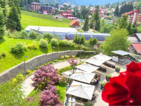 Lux Garden