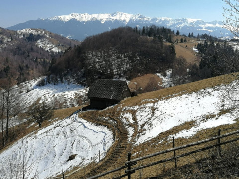 Casa EMA ( sat Pestera)
