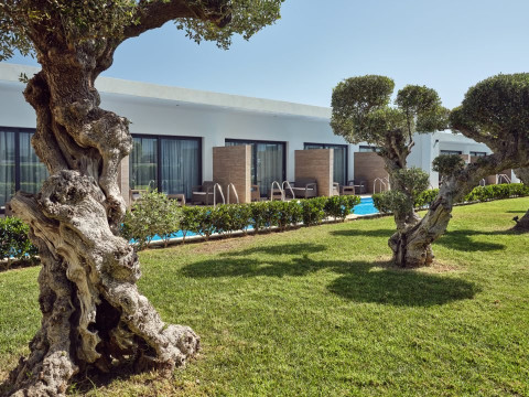 Cavo Orient Beach Hotel