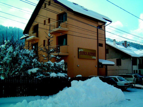 Flora Alpina